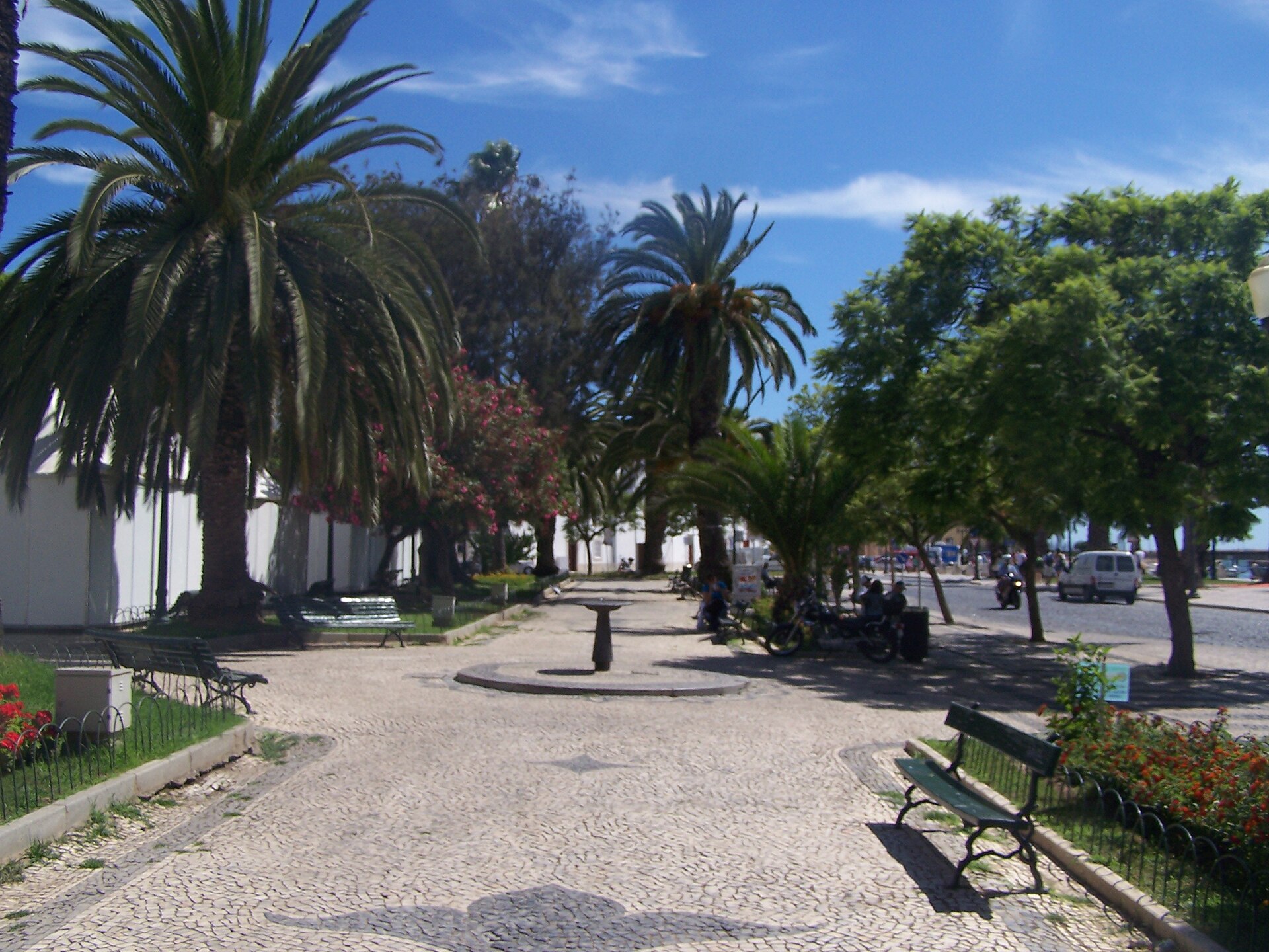 Jardim do Coreto - Dubas from Oviedo, España, CC BY-SA 2.0, Wikimedia Commons (Faro 100 8376 (3833438322).jpg) 8/8