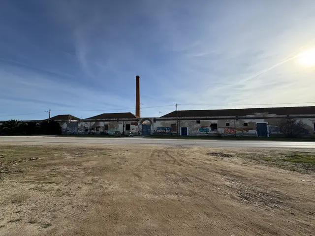 Tavirense, the old canning factory - Flemming Berthelsen 4/8
