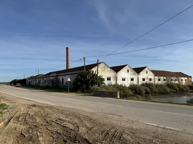 Tavirense, the old canning factory - Flemming Berthelsen 5/8