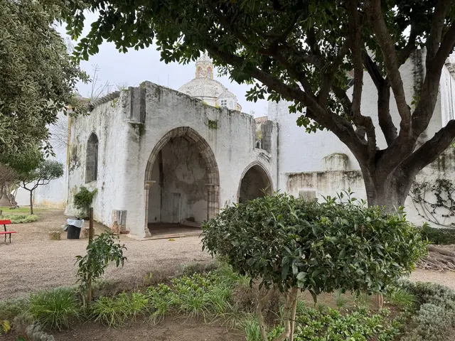Igreja de São Francisco - Flemming Berthelsen 5/6