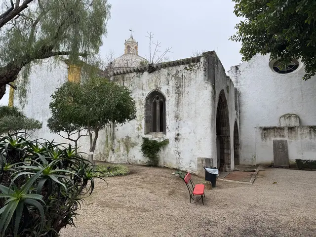 Igreja de São Francisco - Flemming Berthelsen 6/6