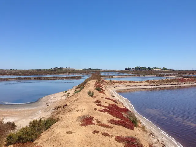 Salt pans - <a rel="nofollow" class="external text" href="https://www.flickr.com/people/32827327@N03">GanMed64</a>
 3/3