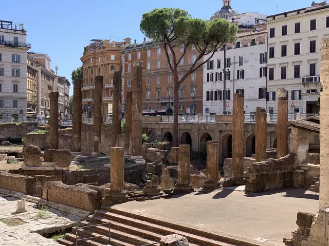 Largo di Torre Argentina - <span class="int-own-work" lang="en">Own work</span> 4/12