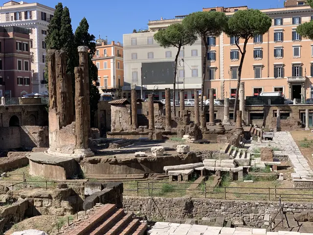 Largo di Torre Argentina - <span class="int-own-work" lang="en">Own work</span> 2/12