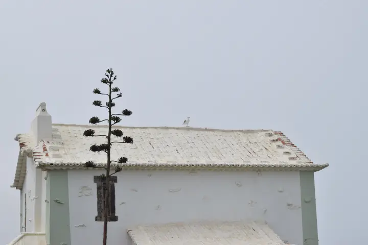 Azenhas do Mar - <span class="int-own-work" lang="en">Own work</span> 4/8