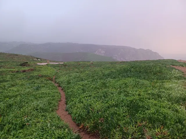 Cape Roca - <span class="int-own-work" lang="en">Own work</span> 8/12