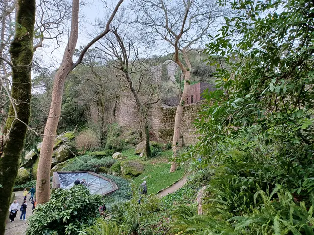 The Moorish Castle - <span class="int-own-work" lang="en">Own work</span> 3/12