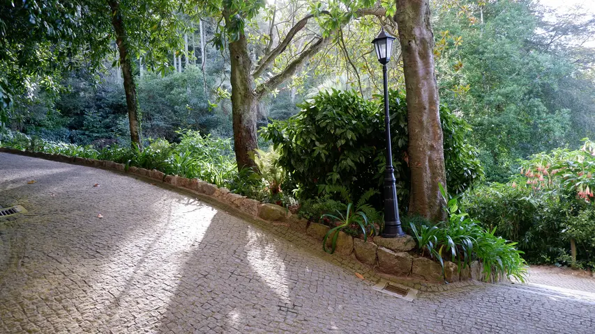 Palácio e Parque Biester - <span class="int-own-work" lang="en">Own work</span> 10/12