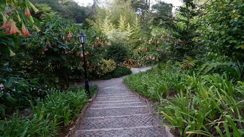 Palácio e Parque Biester - <span class="int-own-work" lang="en">Own work</span> 11/12