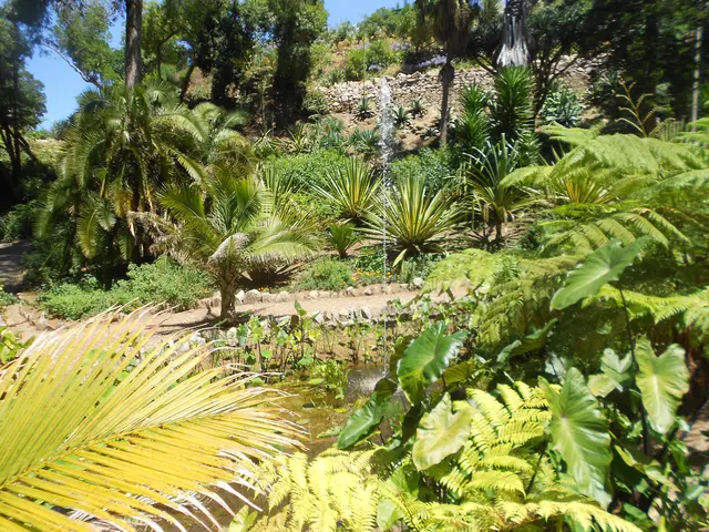 Park and Palace of Monserrate - <span class="int-own-work" lang="en">Own work</span> 6/12