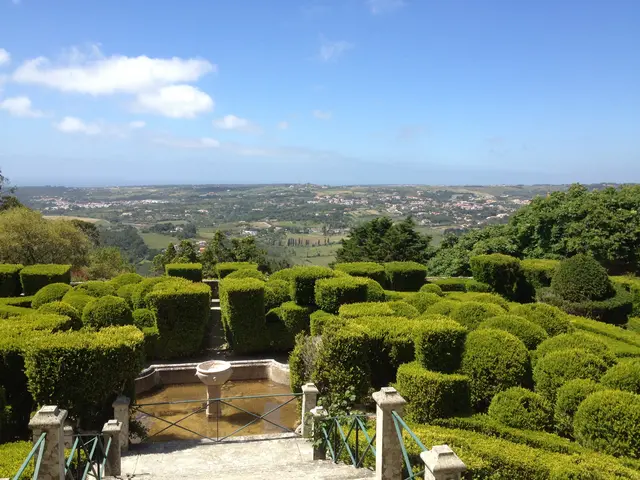 Valverde Palácio de Seteais - <span class="int-own-work" lang="en">Own work</span> 6/8