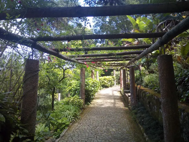 Villa Sassetti - <span class="int-own-work" lang="en">Own work</span> 5/11
